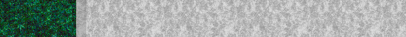 BAC117.GIF