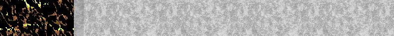 BAC115.GIF