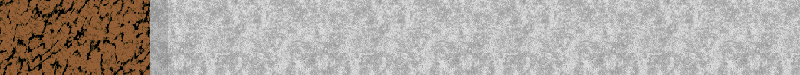 BAC113.GIF