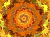 NF096B.gif