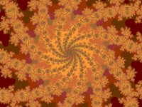 NF095B.gif