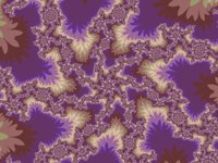 NF017B.gif