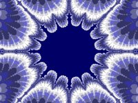 LACE.gif