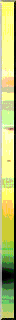 Sdbr0204.gif