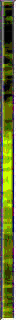 Sdbr0177.gif