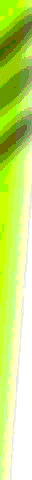 Sdbr0106.gif