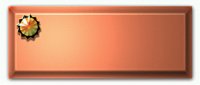 SF2B8827.GIF