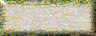 BTN03117.GIF