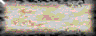 BTN03082.GIF