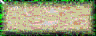 BTN02969.GIF