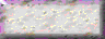BTN02942.GIF