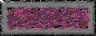 BTN01753.GIF