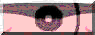 BTN01375.GIF