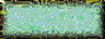 BTN00742.GIF