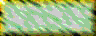 BTN00419.GIF