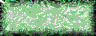 BTN00277.GIF