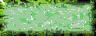 BTN00268.GIF