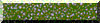 BTN02306.GIF