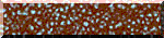 BTN02006.GIF