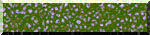 BTN01956.GIF