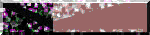 BTN01907.GIF