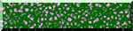 BTN01906.GIF