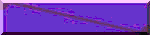 BTN01564.GIF