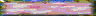 BTN01262.GIF