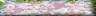 BTN01247.GIF