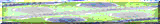 BTN05736.GIF