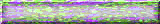 BTN04485.GIF