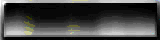 BTN04053.GIF