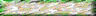 BTN03036.GIF