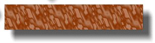 STD00149.GIF