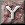 let07_y.gif