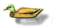 STD00061.GIF