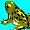 Frog03.gif