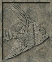 Fish_m.gif