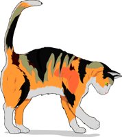 CAT00006.GIF