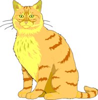CAT00004.GIF