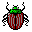 Bug10.gif