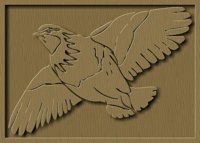 Bird2_w.gif