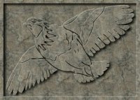 Bird2_m.gif
