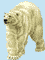 Bear05.gif