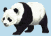 Bear04.gif