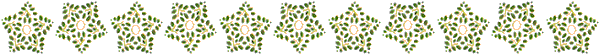 Dvdr0891.gif