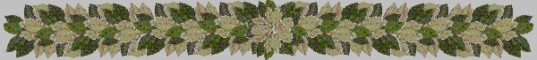 Dvdr0886.gif