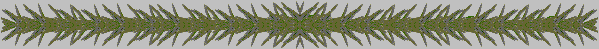 Dvdr0885.gif