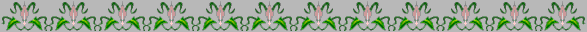 Dvdr0884.gif