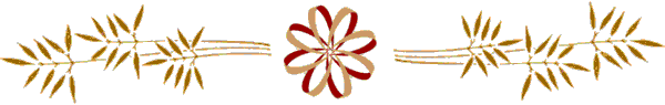 Dvdr0858.gif